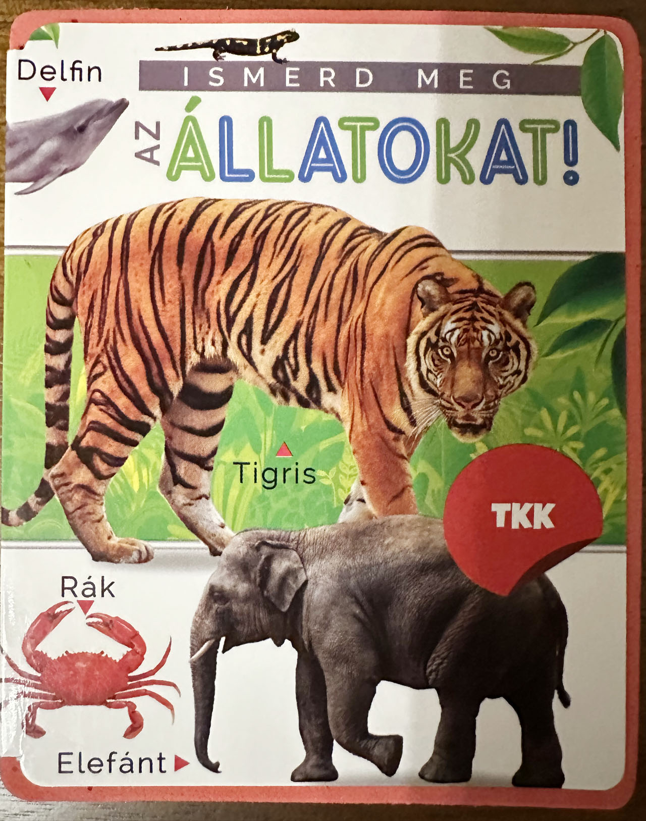 Ismerd meg az állatokat! Ismerd meg az állatokat!