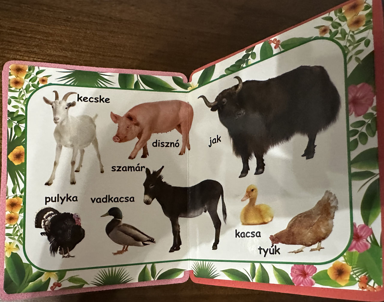 Ismerd meg az állatokat! Ismerd meg az állatokat!