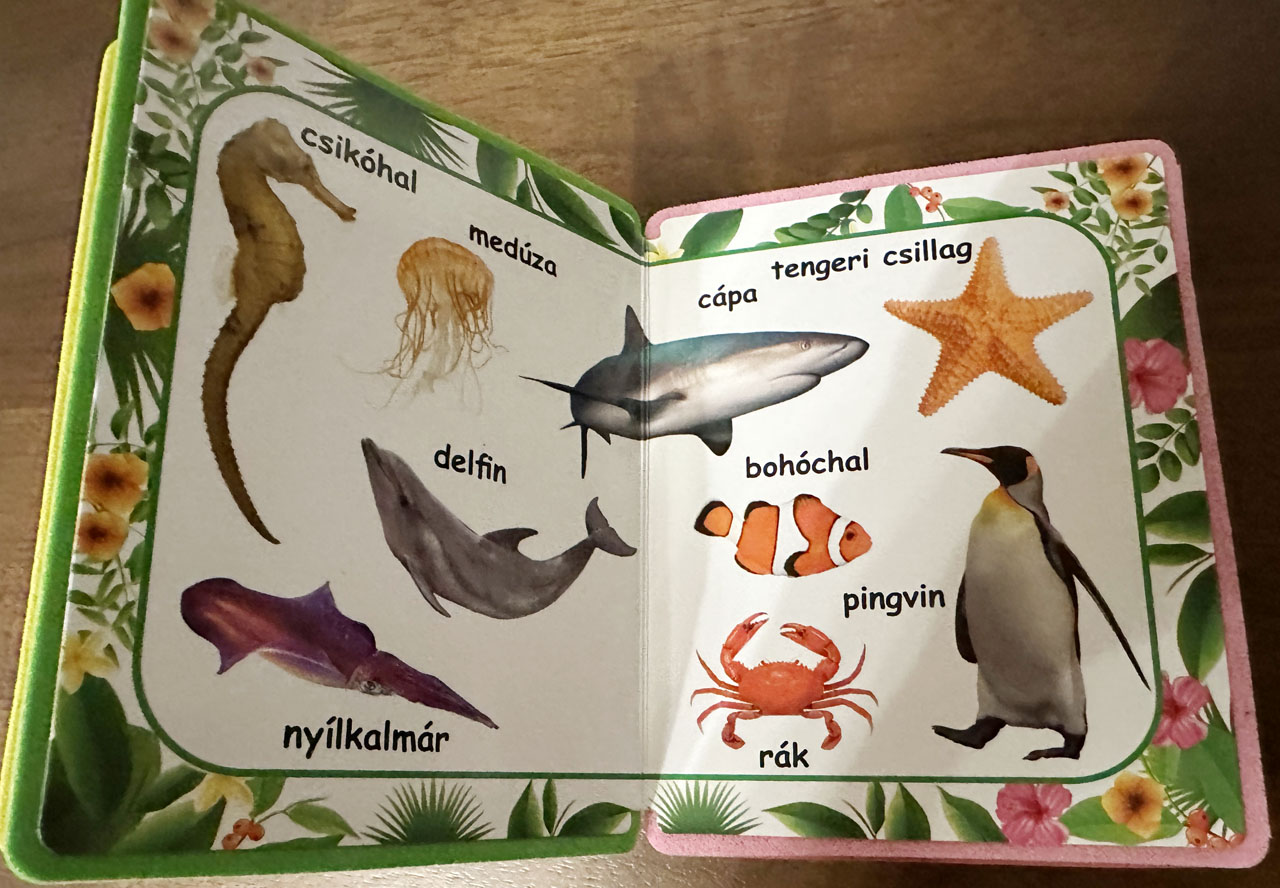 Ismerd meg az állatokat! Ismerd meg az állatokat!