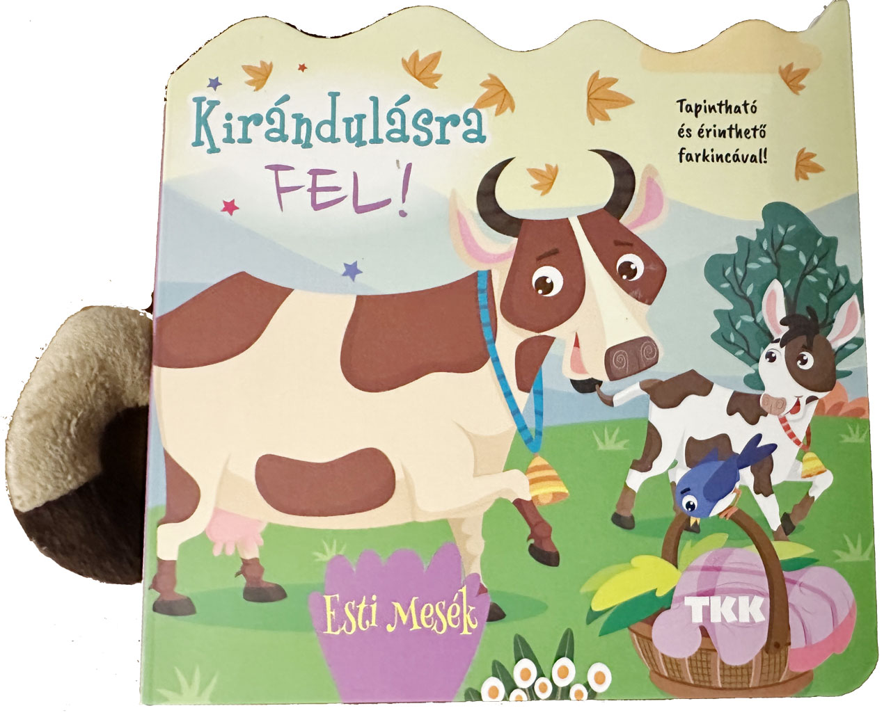 Kirándulásra fel! Kirándulásra fel!
