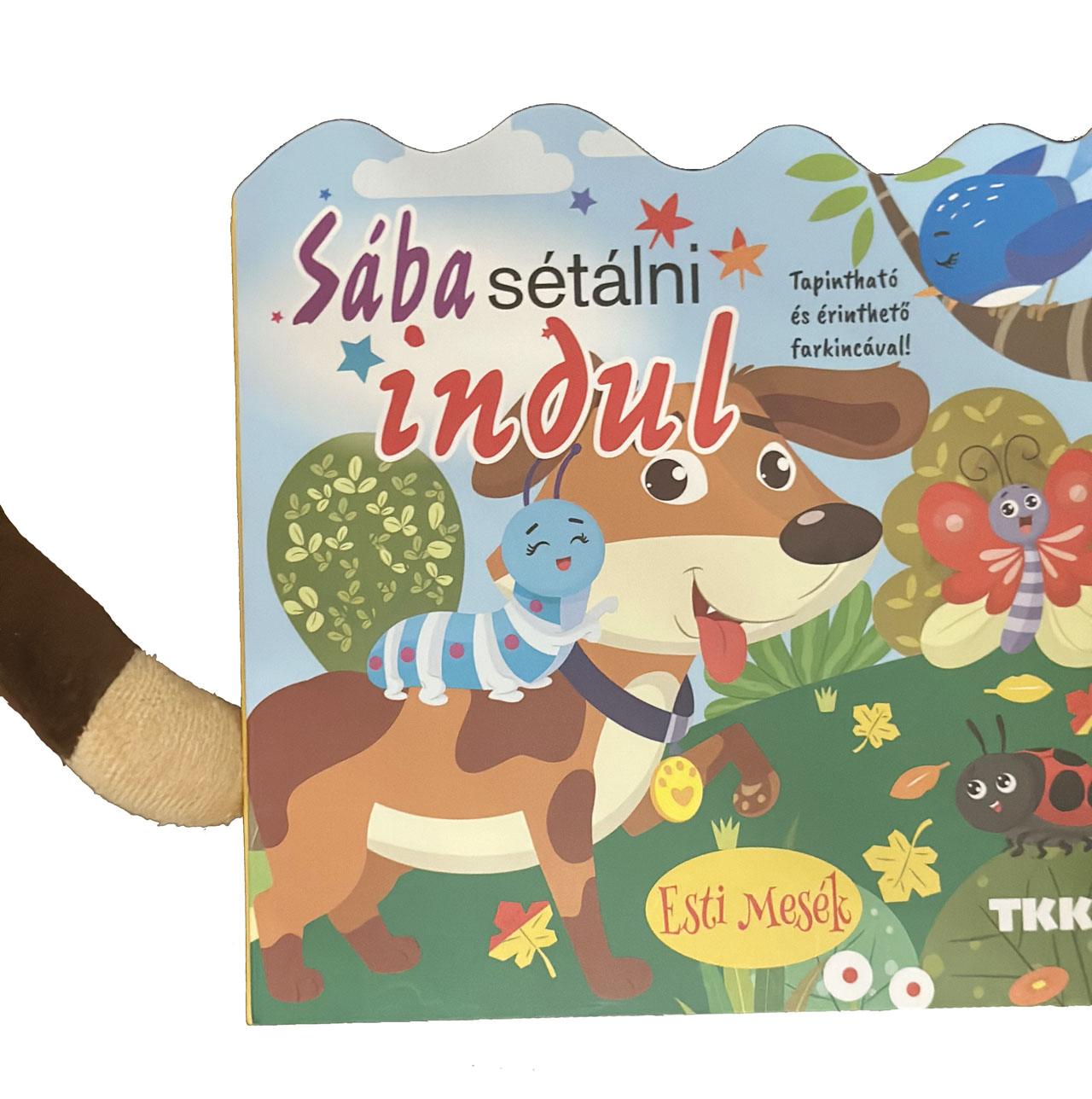 Sába sétálni indul