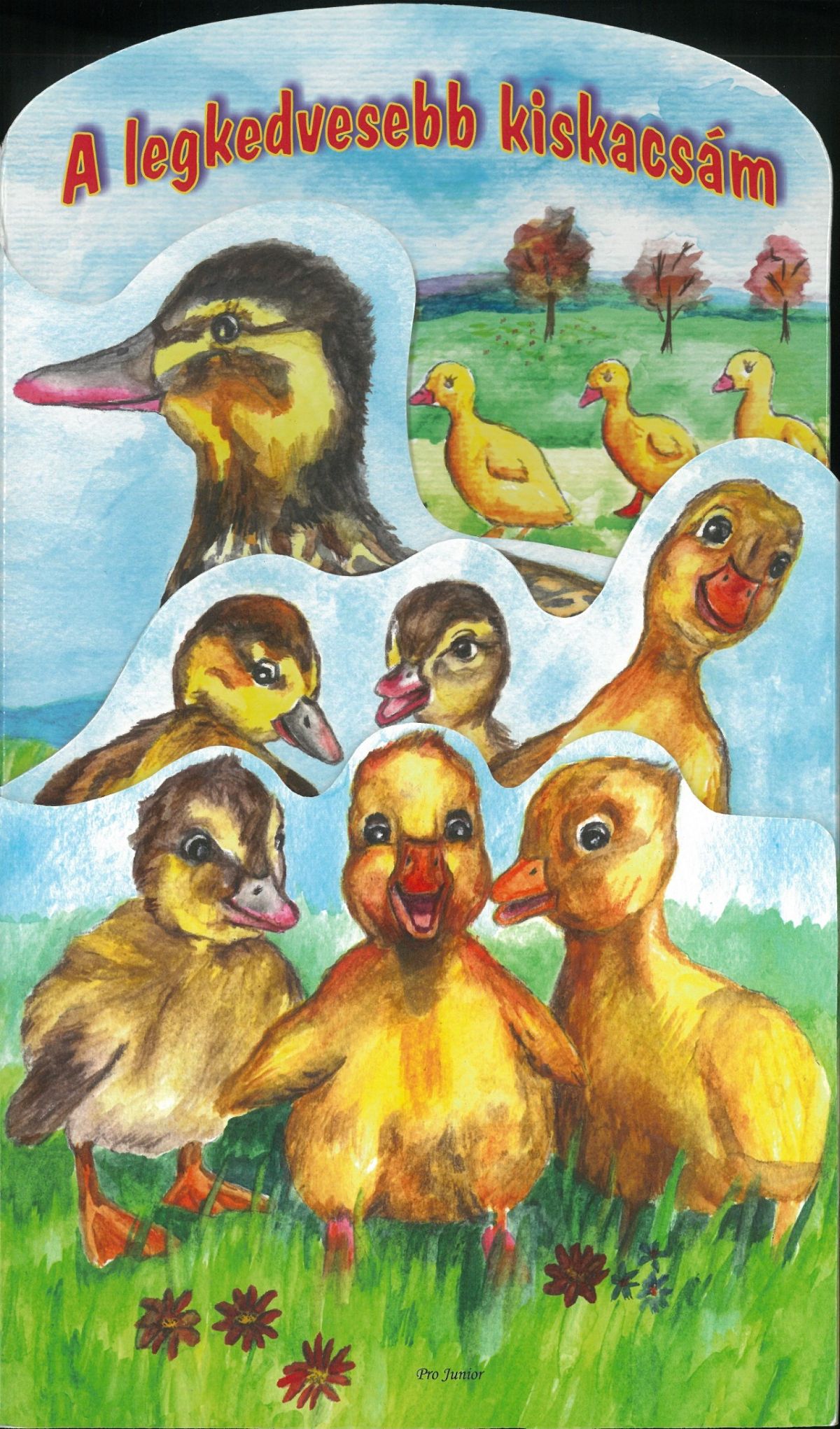 A legkedvesebb kiskacsám