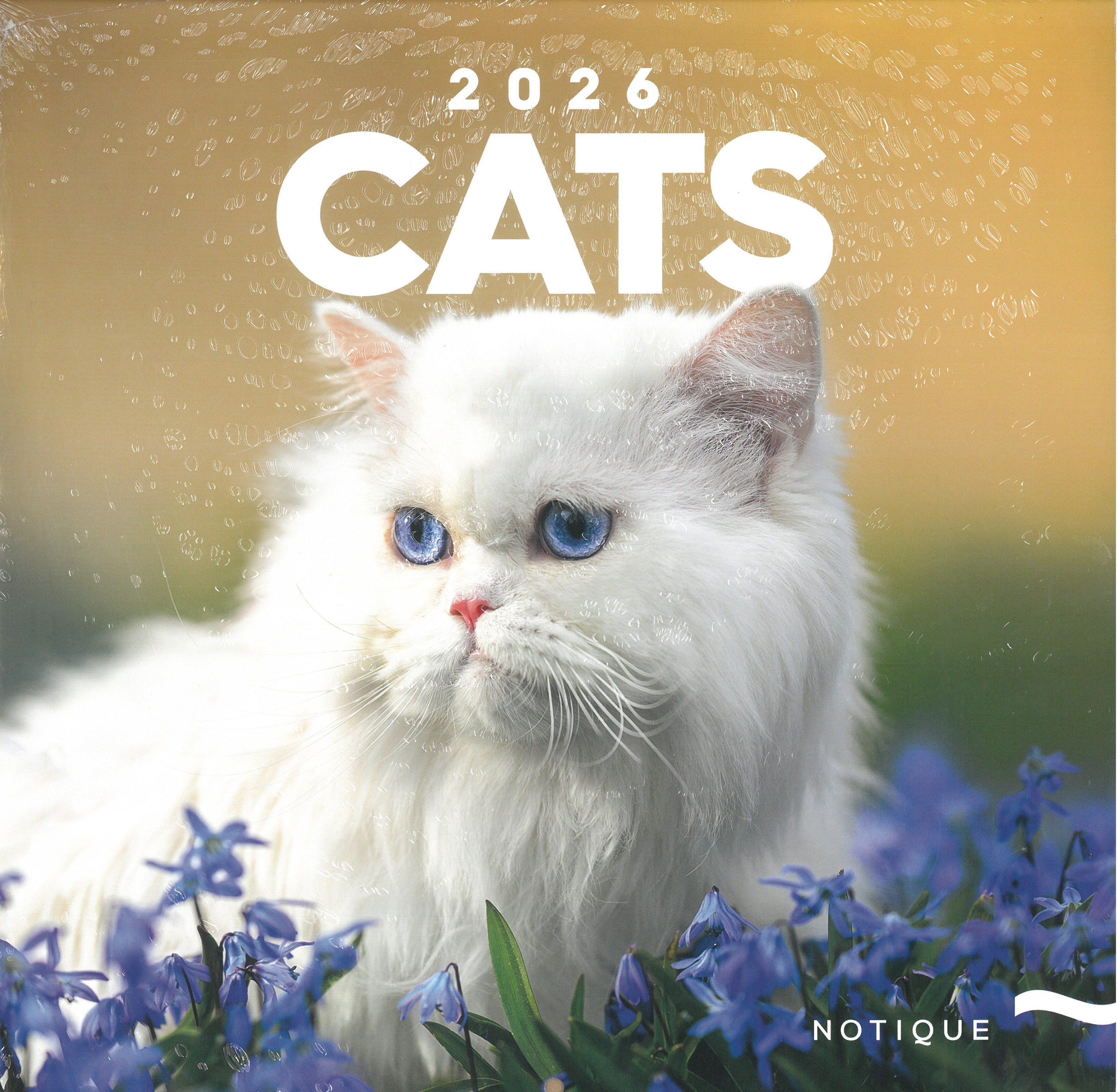 2026 falinaptár CATS 