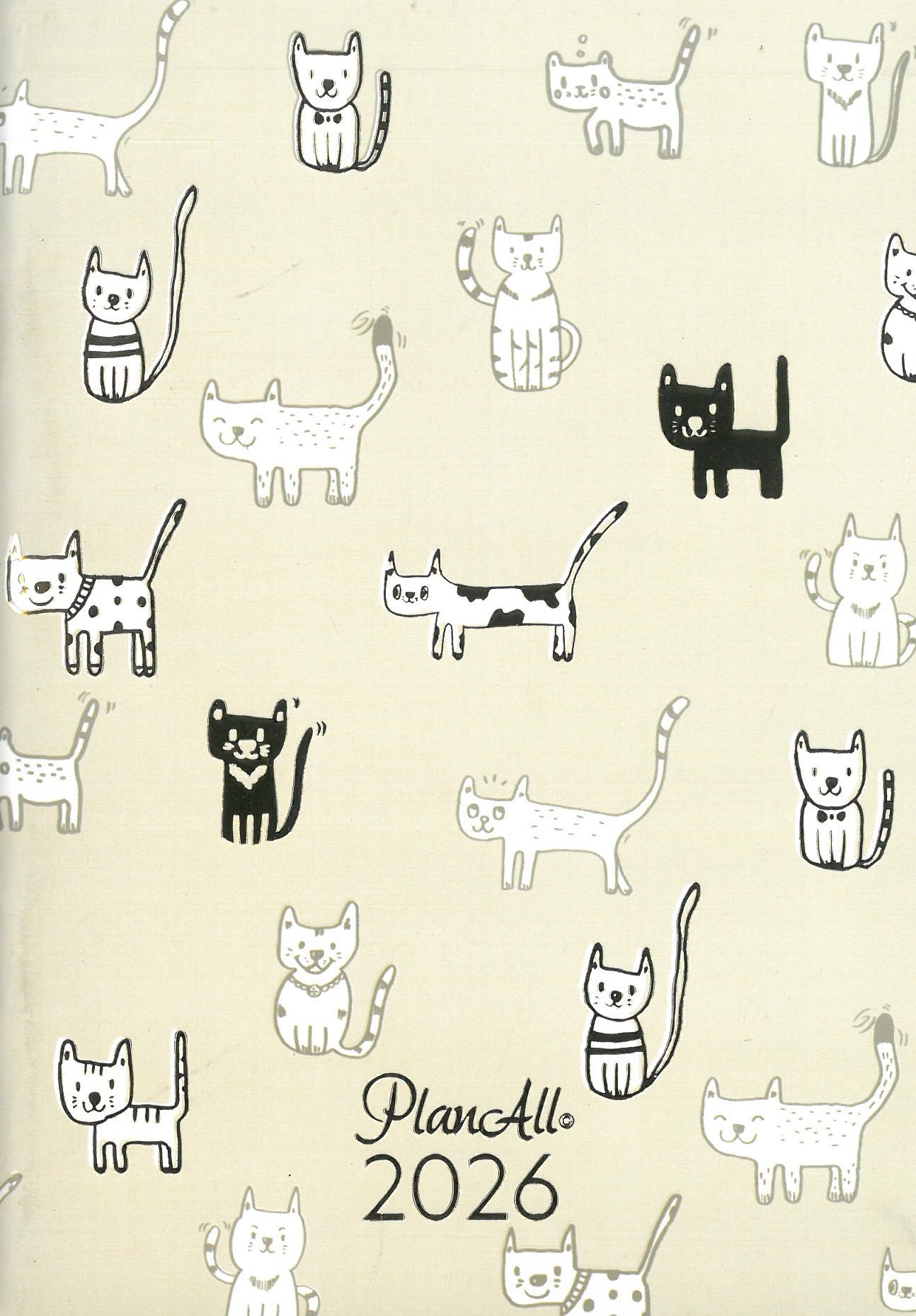 2026 zsebnaptár B6 tűzött  CATTO