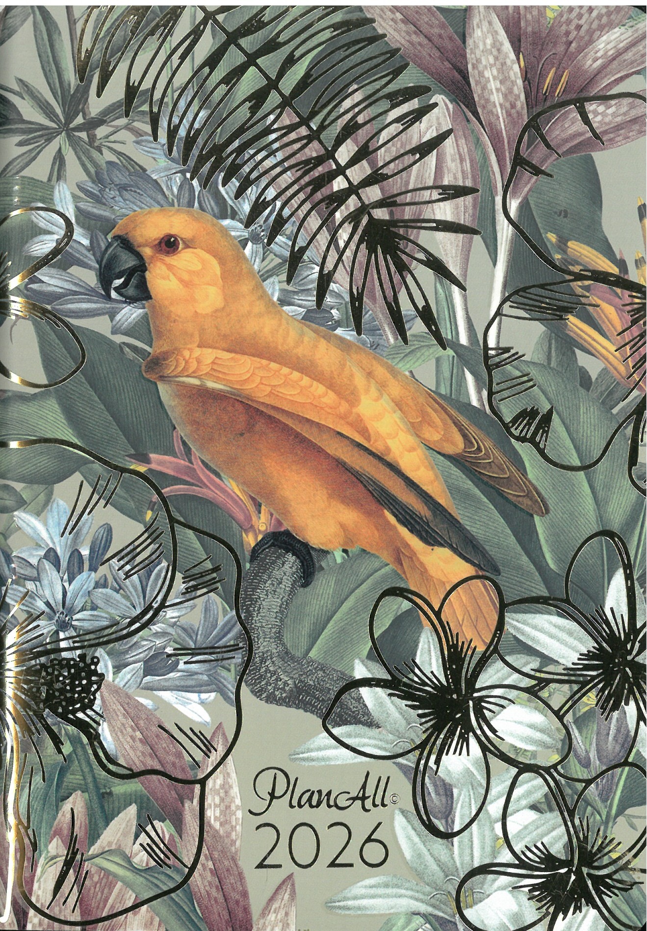 2026 zsebnaptár B6 tűzött  PARROT