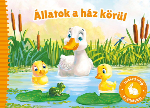 Állatok a ház körül (Ismerd meg az állatokat)