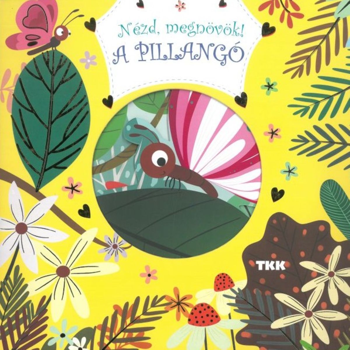 Nézd, megnövök! - A pillangó