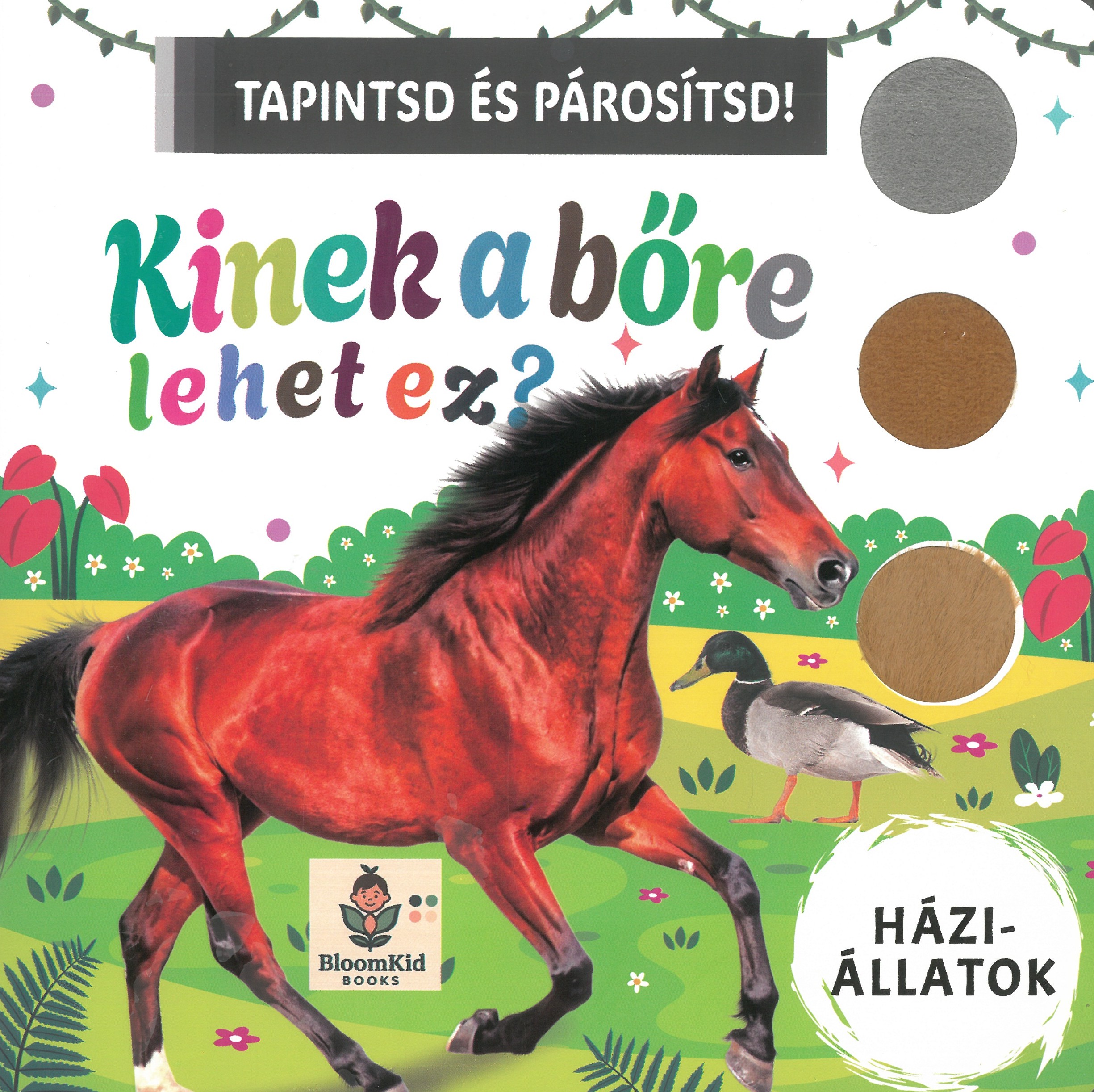 Kinek a bőre lehet ez? - Háziállatok
