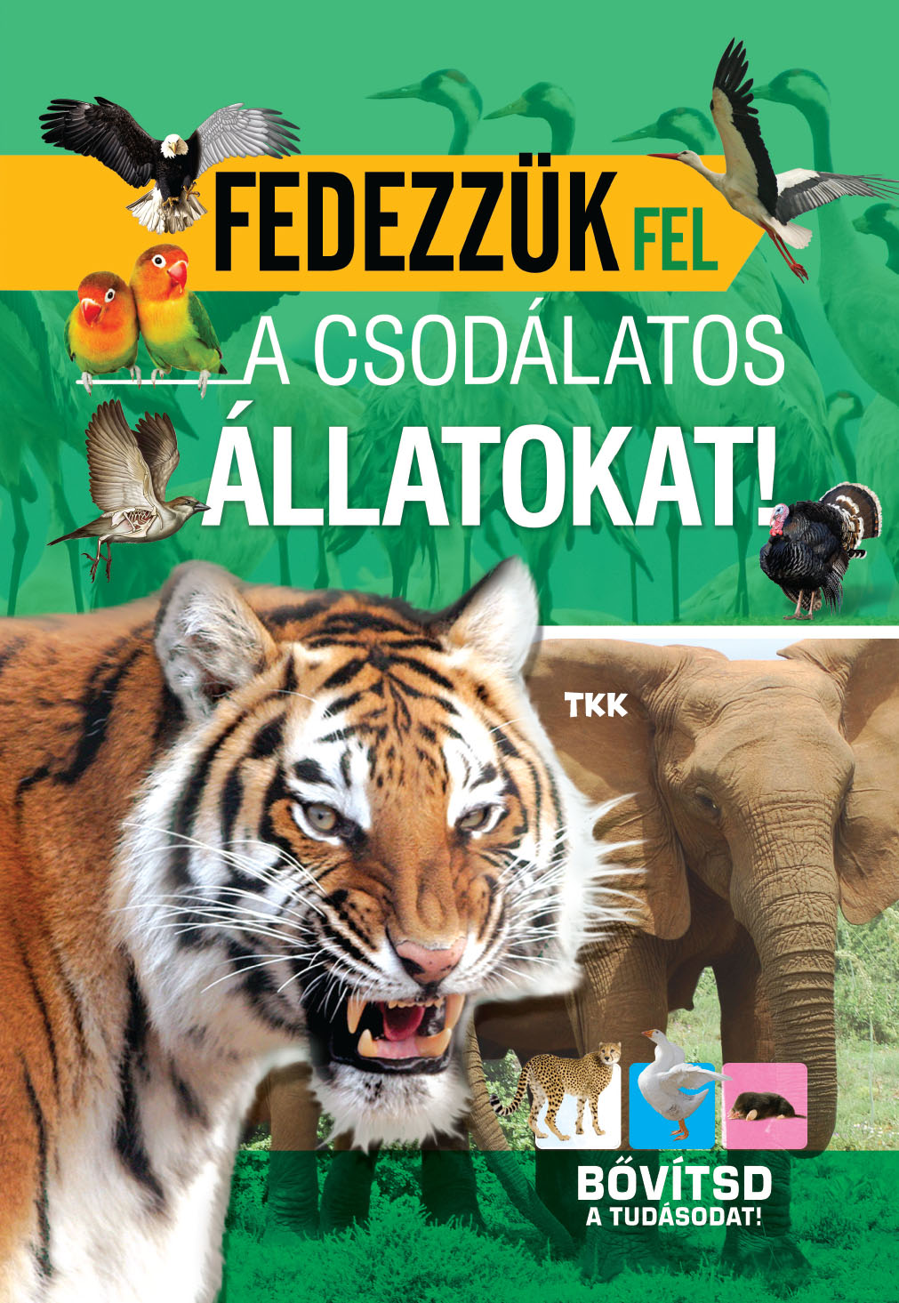Fedezzük fel a csodálatos állatokat!