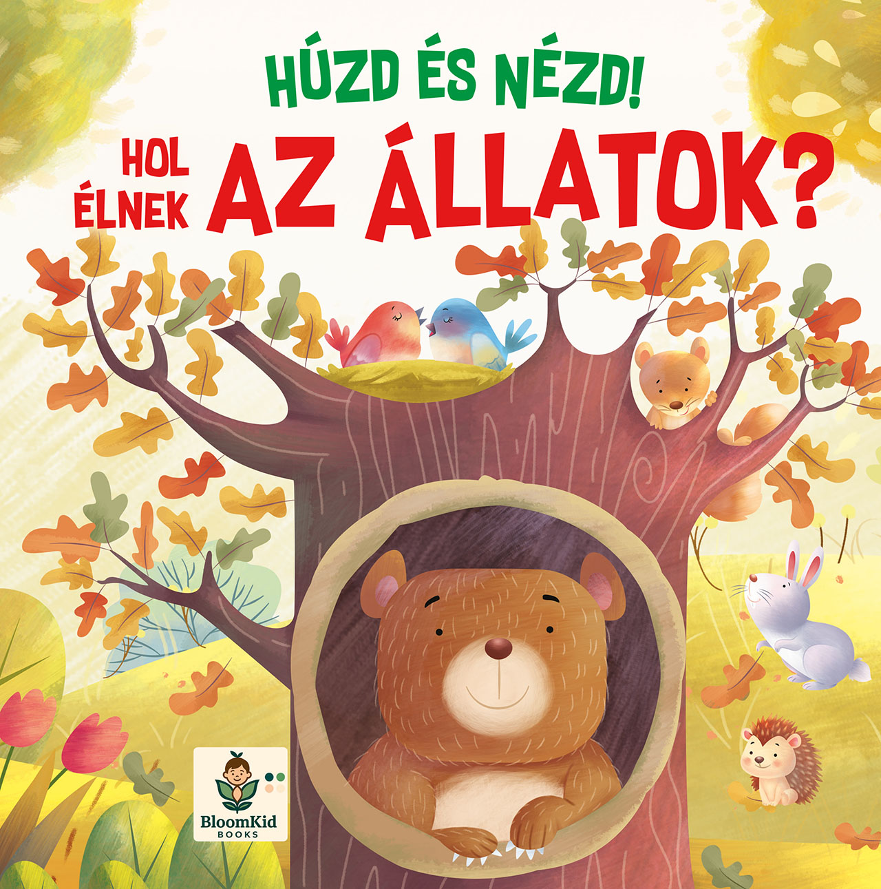 Hol élnek az állatok?