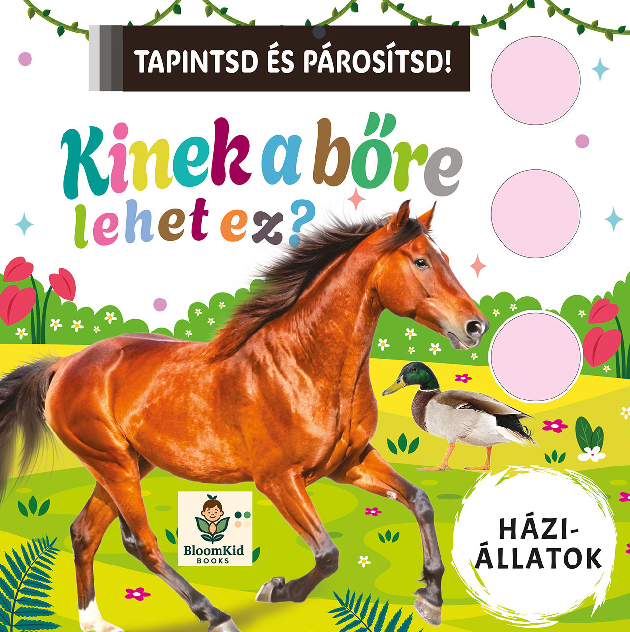 Kinek a bőre lehet ez? - Háziállatok