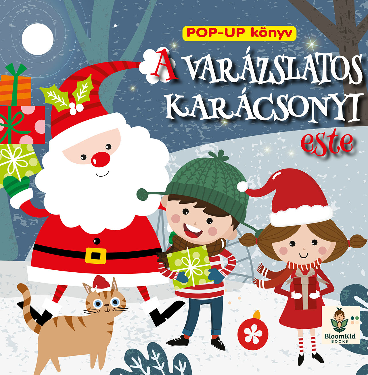 Varázslatos karácsonyi este       
