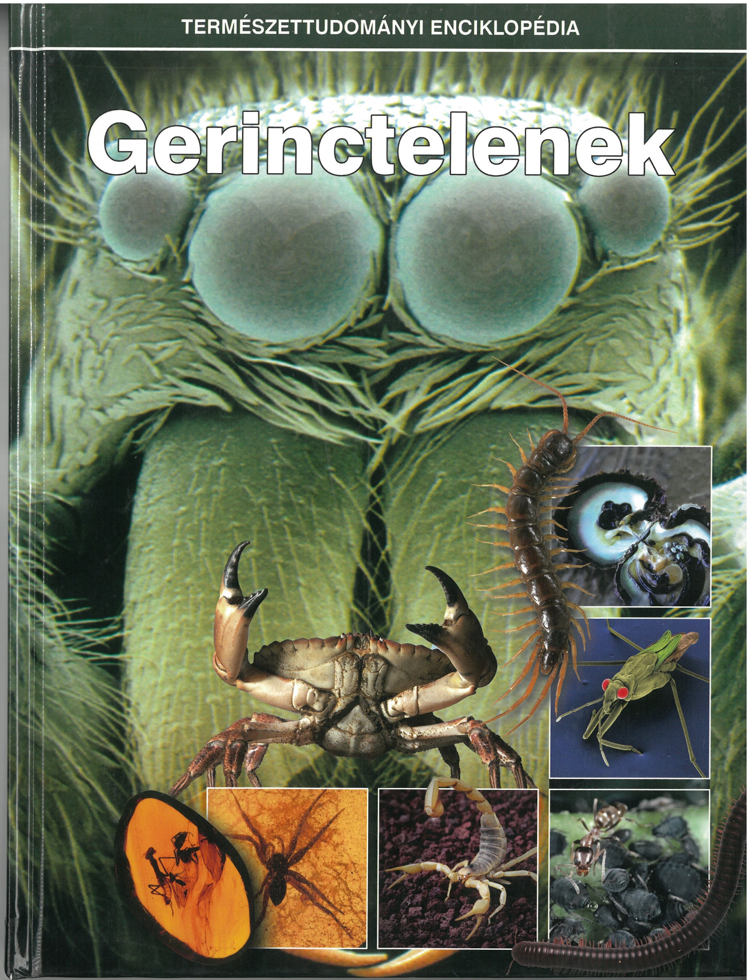 Természettudományi enciklopédia - Gerinctelenek